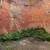 Nice 1 Bedroom Apartment with Balcony 13 thumbnail