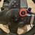 Logitech Driving Force GT Steering Wheel & Pedals E-X5C19 PC PS3 1 thumbnail