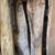 Pin Oak Live Edge Slabs 6 thumbnail