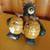 Bear Salt & Pepper Shakers 1 thumbnail