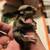 Sugar gliders 12 thumbnail
