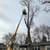 Tree Removal/ Tree Clearing / Brush Removal 5 thumbnail