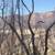 80 Amazing Acres $78,000. 10 thumbnail