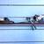 Vockal Skis, 161 cm; Marker Motion bindings 2 thumbnail