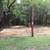 CEDAR CLEARING, CHIPPING, LOT CLEARING, TREE REMOVAL, TRIMMING 7 thumbnail