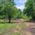 3.5 acres on a creek with all utilities 17 thumbnail