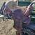 Saddles and misc tack/ prices vary- not $50 16 thumbnail
