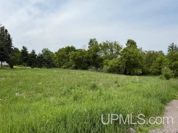 $15,000 0.33 Acres vacant lot MLS 50178507 (Florence T-WI)64151608854529121
