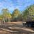 Land clearing & Grading 1 thumbnail