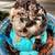 Cookie Dough Mixer & Brownie Baker | THE BAKED BEAR 4 thumbnail