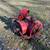 Gravely Snow Blower Attachment 3 thumbnail