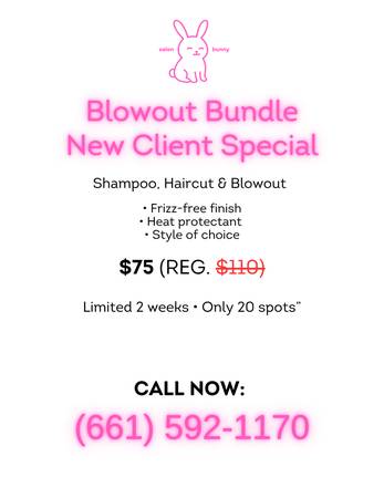 Mobile Blowout + Haircut - Smooth, Bouncy,  💁‍♀️ 1