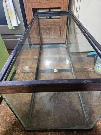 75 gallon aquarium 1