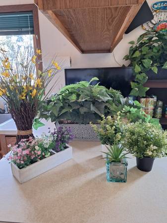 Artificial Plants and Holders 1