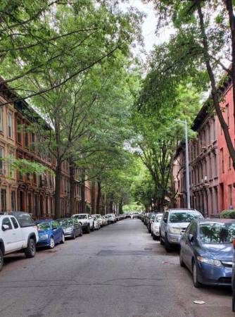 $950 / 4br - Habitación asequible en Boerum Hill (Boerum Hill)63661204564995121