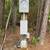 Temporary Electric Pole 2 thumbnail