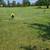 Cemetery Plots-Price Reduction 4 thumbnail