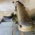 DeWalt Radial Arm Saw 2 thumbnail