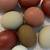Black Copper Marans 7 thumbnail