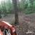 Tree services - tree removal-Bush hogging land clearing services 11 thumbnail