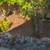 Landscaping & Gardening Service 8 thumbnail