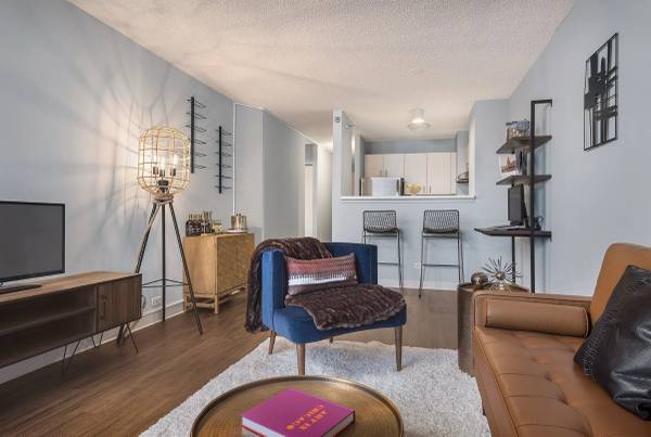 $2,195 STREETERVILLE 1 Bedroom ~ Steps To Transportation, Lake, Stores ~ Gym & Sauna (Streeterville, Chicago)63844191880961122