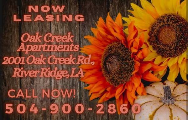 $1,105 / 1br - 748ft2 - 🔑Move In Now! Oak Creek in River Ridge🔑 (River Ridge)63903652626563120