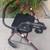 Collapsible Sitting Walker with Brakes! 4 thumbnail