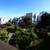-2Ba  21st Ave/California , Updated Kitchen/Baths, Balcony, Pets OK 15 thumbnail