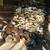 BBQ Firewood Delivered & Stacked OR PICKUP SALE !! ACL Special 14 thumbnail