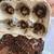 Panda king/red panda king isopods 4 thumbnail
