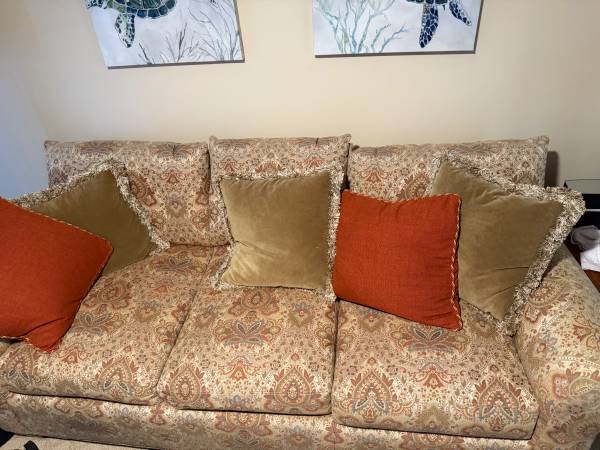 Couch and pillows 1