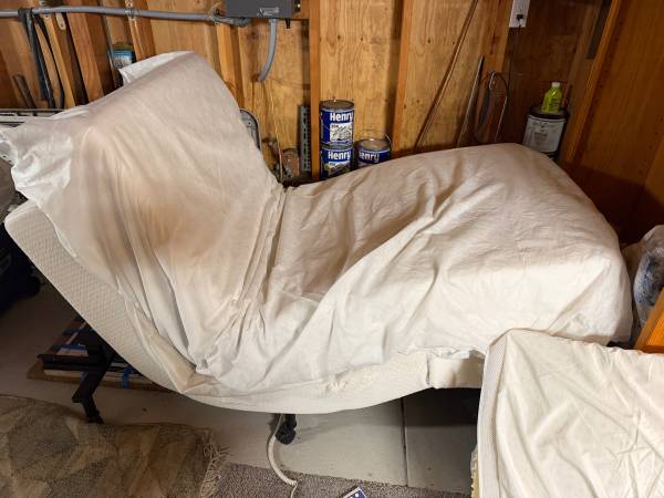 Electric Bed: Lifts Head and Feet + Tempupedic Mattress 1