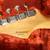 FENDER STRATOCASTER 60th Anniversary YEAR MADE 2006 9 thumbnail
