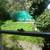 Studio lakeshore/Mandana area 2 thumbnail