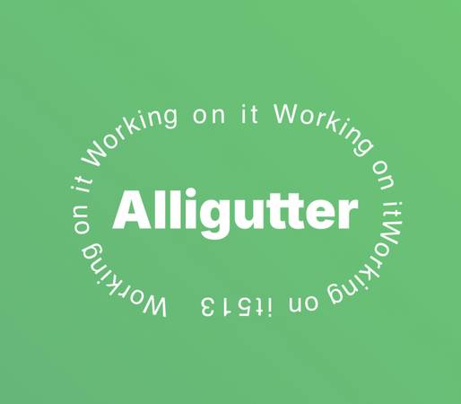 Gutter Services - Quality Work at Great Price 1