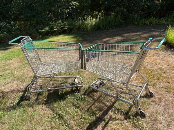 shopping carts 1