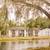 Spacious bedroom and walk-in closet! Great floorplan for great price! 3 thumbnail