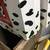 McDonalds Disney 101 Dalmatians Set 11 thumbnail