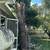 Tree service 12 thumbnail
