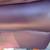 On the curb purple leather couch 5 thumbnail