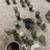 Over 25 Containers of Nails 1 thumbnail