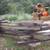 OAK & RED CEDAR SPLIT RAILS & FENCE POSTS 7 thumbnail