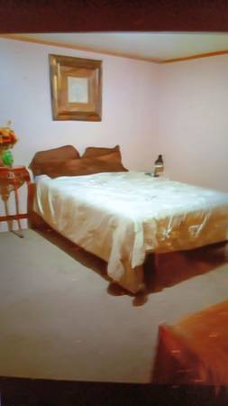 $800 / 3br - Se busca compañero de cuarto masculino maduro (Arden/Fletcher)64029207100033120