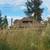 Weed eater service high grass/weeds cut it down 21 thumbnail
