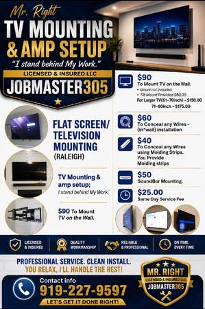 FLAT SCREEN TV MOUNTING STARTING AT $90 1