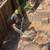 TREE &STUMP GRINDING &STUMP REMOVAL SERVICE 24 thumbnail