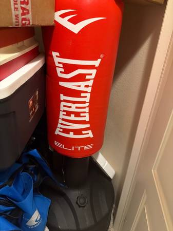 Everlast elite punching bag 1