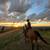 Tennessee Walker Gelding 4 thumbnail