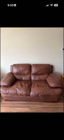 Couch (brown leather) 1